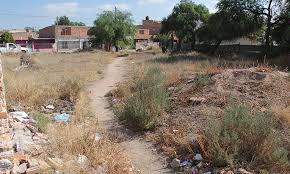 Persisten focos de infección en terrenos baldíos en Soledad: Ecología