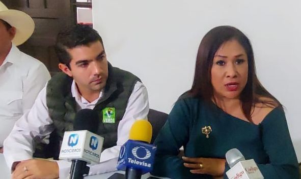 Autoridades electorales, pasmadas ante violaciones del PRIAN: Elizondo Garrido