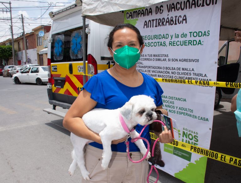 Campaña de protección animal en Soledad arroja resultados positivos