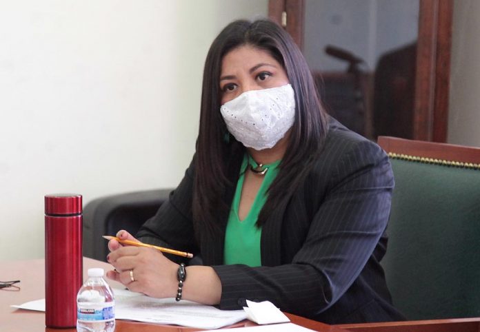 Dip. Marite Hernández Correa (30)