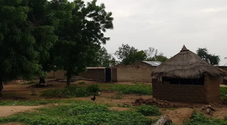 Liberan a más de 30 mujeres secuestradas por separatistas en Camerún