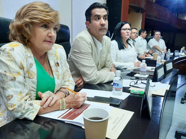 Partido Verde en SLP, listo para enfrentar elecciones de 2024 con o sin la alianza de Morena