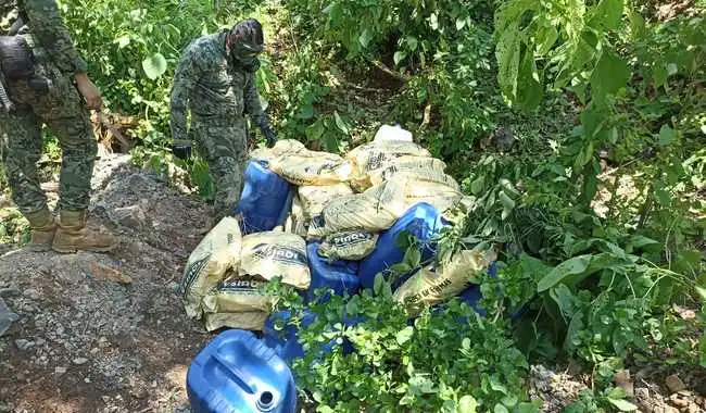 Desmantelan cinco narcolaboratorios en Sinaloa; se aseguraron 15 toneladas de metanfetamina