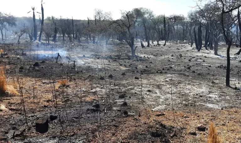 Incendios forestales azotan la provincia argentina de Córdoba