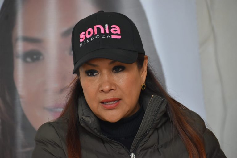 Sonia Mendoza pide sororidad a las mujeres militantes del PVEM