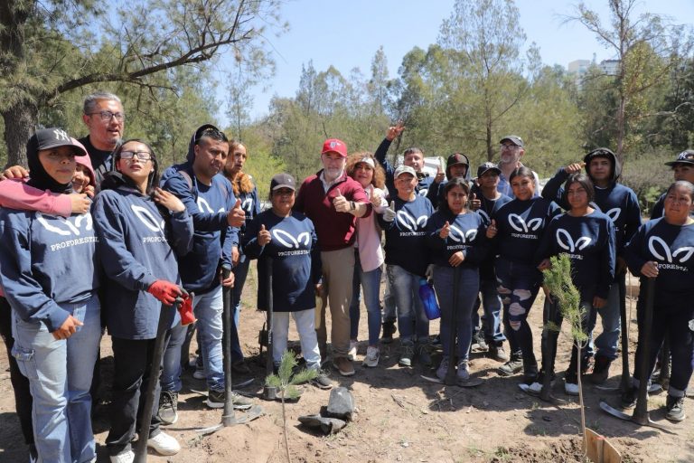 Impulso decidido del Alcalde Galindo a la reforestación de la ciudad: se han plantado más de 115 mil árboles
