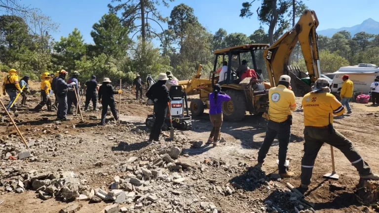 Activistas localizan cinco restos óseos en fosa clandestina en el Ajusco