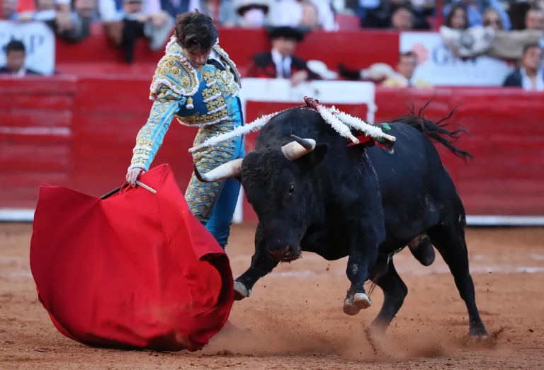 Jueza aplaza posible suspensión de corridas de toros en Plaza México