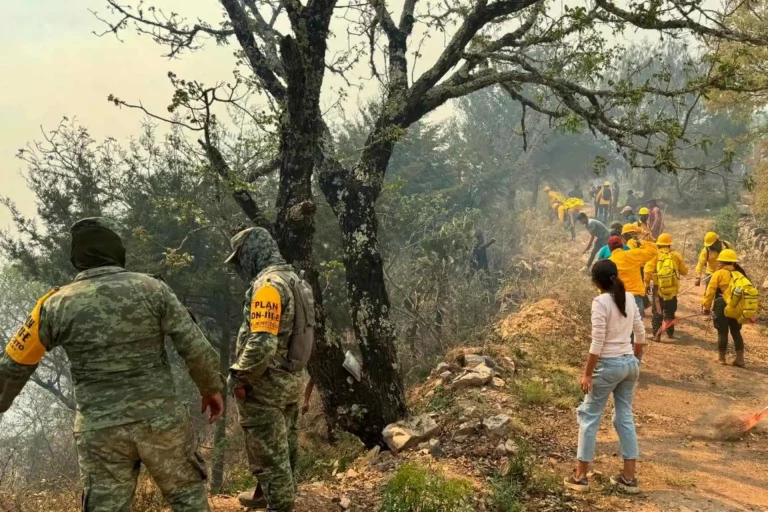 Incendio forestal en Pinal de Amoles, Querétaro, tiene extensión estimada de 80 hectáreas.