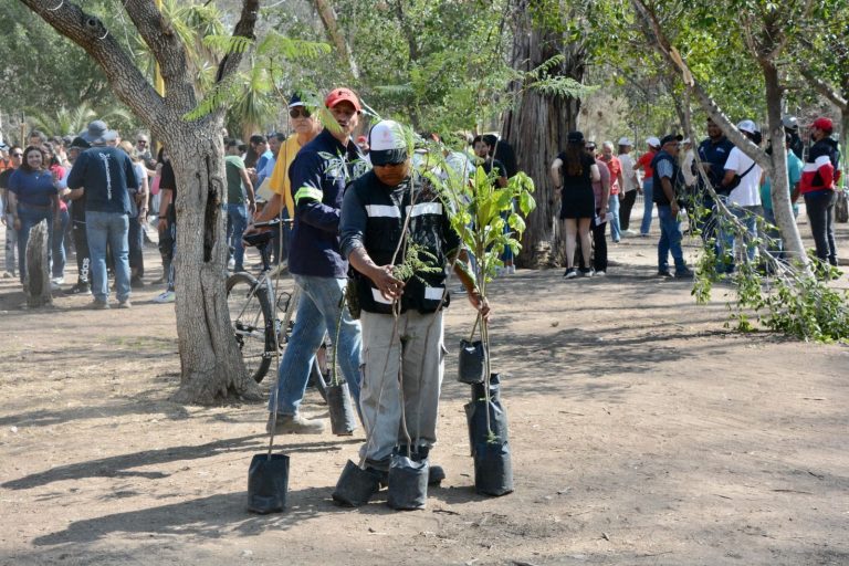 Rumbo al centenario del Parque Morales, continúan labores de rehabilitación, limpieza y reforestación