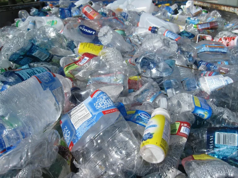 Greenpeace afirma que un 80 por ciento de la población apoya recortar la producción de plástico