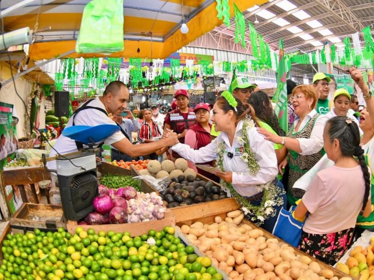 Mercados municipales recuperarán su esplendor e importancia: Sonia Mendoza