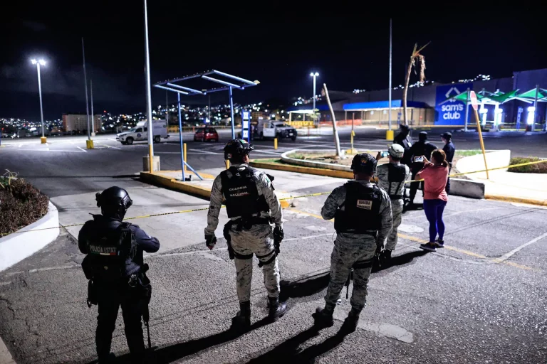 Seguridad es la principal preocupación de los mexicanos: OCDE