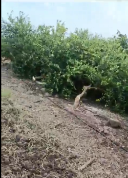 Captura de pantalla 2024-11-07 145805