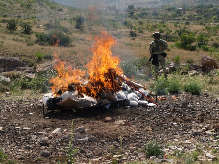 WhatsApp Image 2024-11-07 at 4.23.12 PM