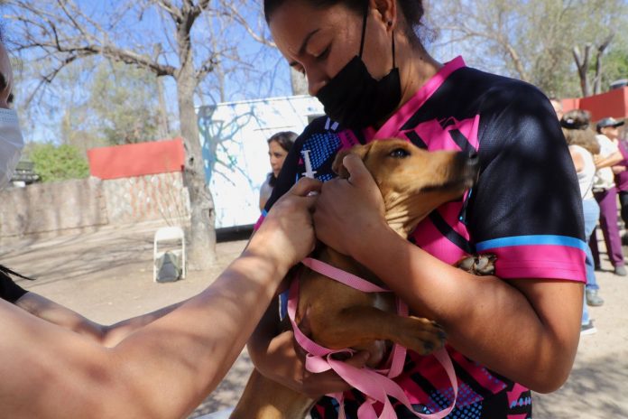 WhatsApp Image 2024-11-20 at 11.07.16 AM