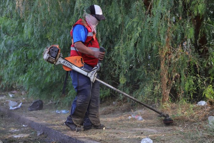 WhatsApp Image 2024-11-20 at 12.37.24 PM