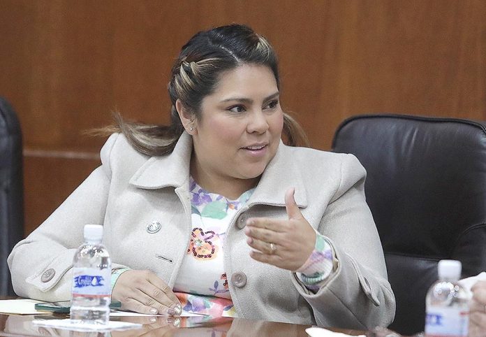 Dip. Diana Ruelas Gaitán (1)