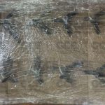 WhatsApp Image 2025-02-18 at 11.48.16 AM