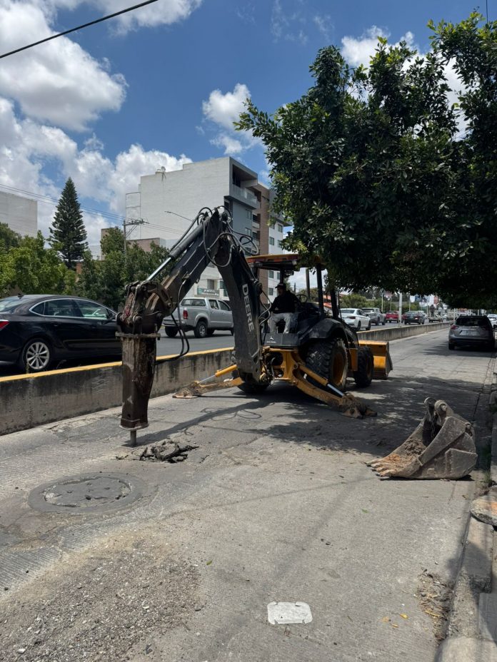 WhatsApp Image 2025-08-20 at 3.31.00 PM