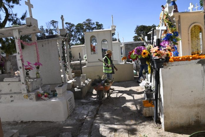 WhatsApp Image 2025-10-28 at 2.44.07 PM