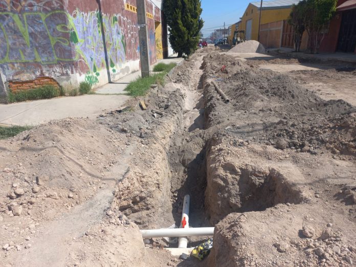 WhatsApp Image 2025-10-28 at 2.51.44 PM