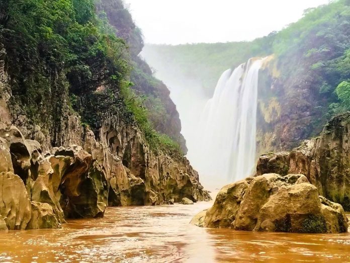 WhatsApp Image 2025-10-28 at 7.31.19 PM