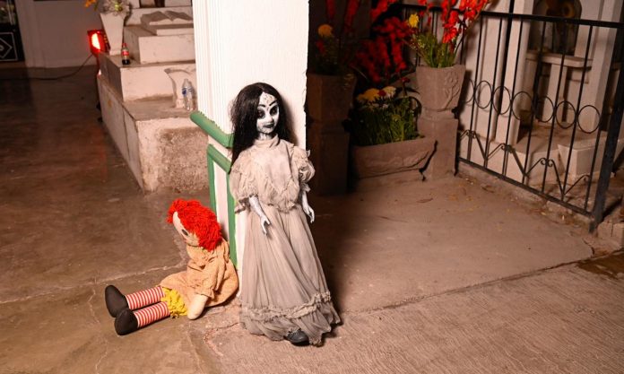 WhatsApp Image 2025-10-30 at 11.47.41 AM