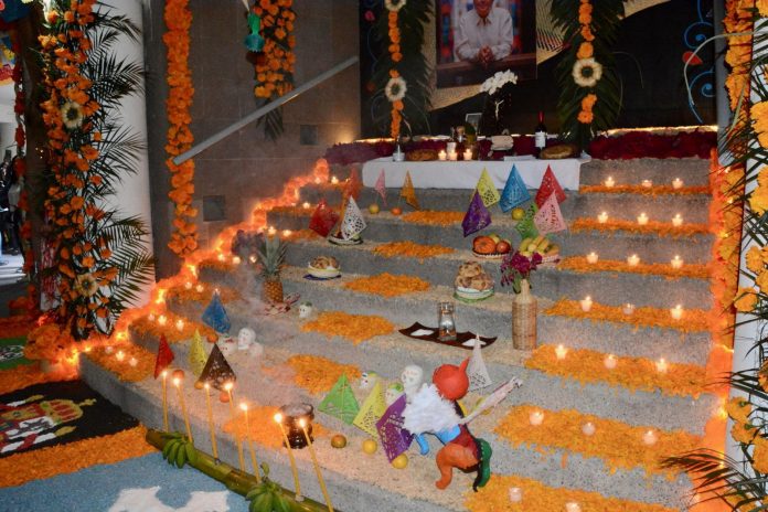 WhatsApp Image 2025-10-30 at 11.56.56 AM