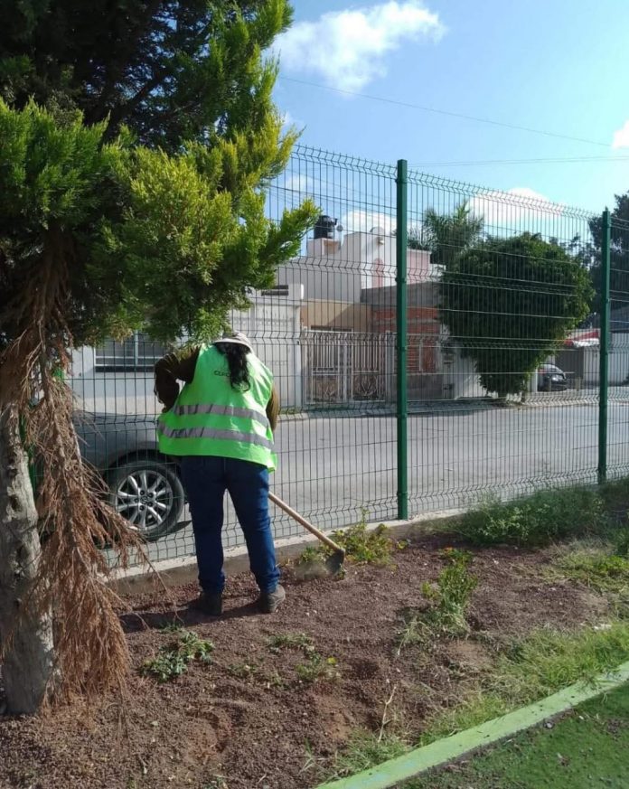 WhatsApp Image 2025-10-31 at 3.16.20 PM