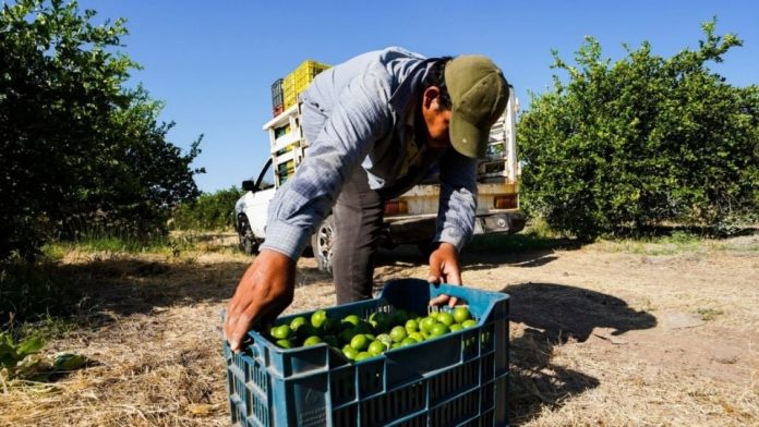 f960x540-128505_202580_5050