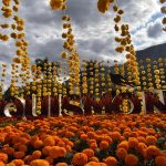 WhatsApp Image 2025-11-01 at 1.51.43 PM