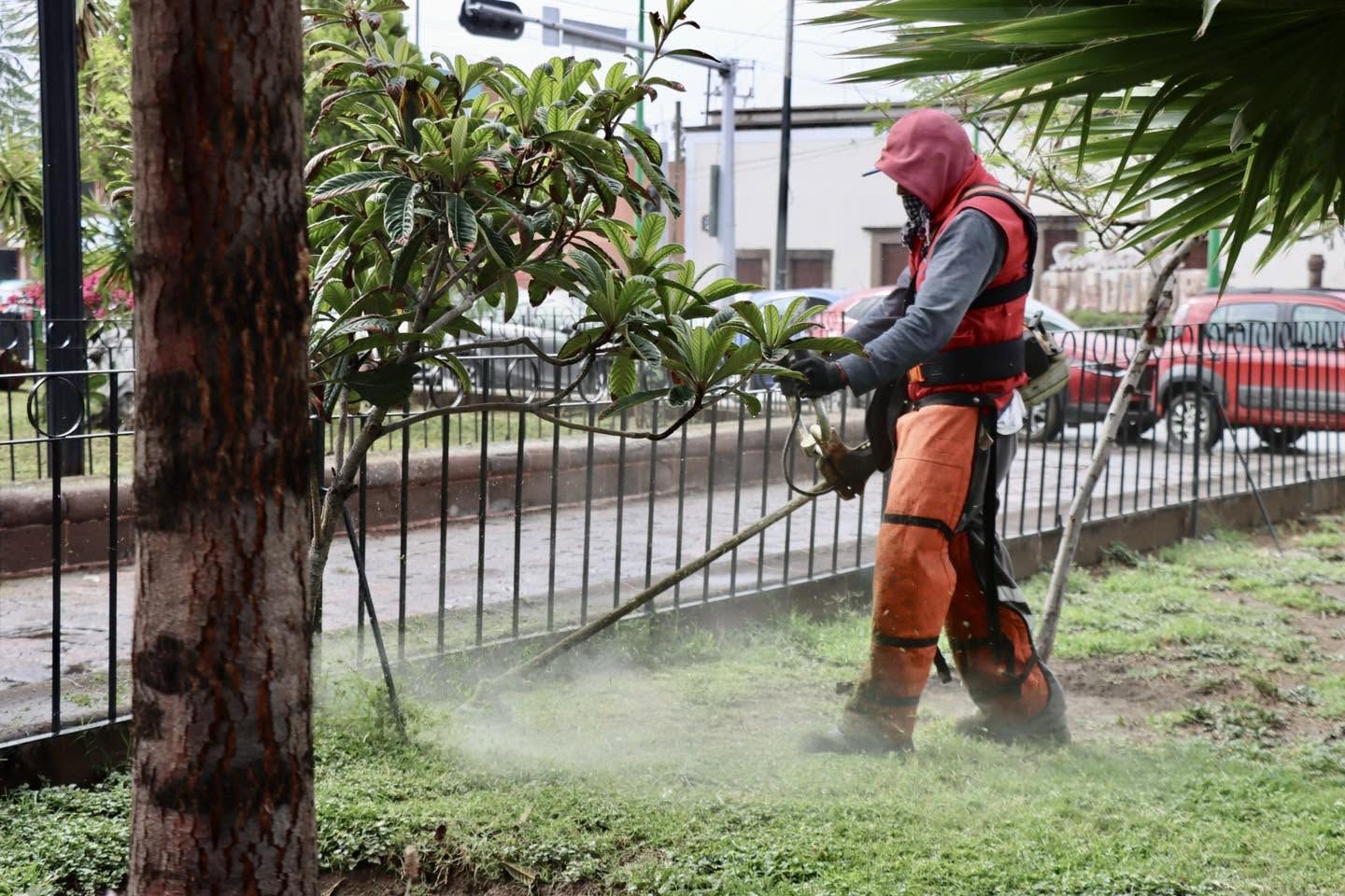 Gobierno de la Capital refuerza limpieza y mantenimiento en el Jardín ...